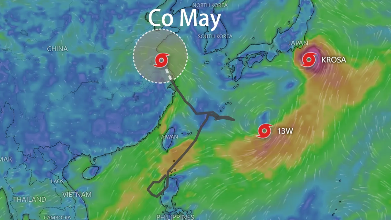 Co May